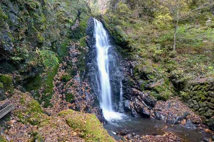 �ۃ���E�S�i